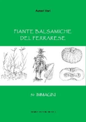 Vari |  Piante balsamiche del Ferrarese | eBook | Sack Fachmedien