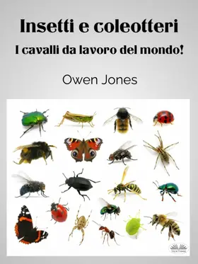 Jones |  Insetti E Coleotteri | eBook | Sack Fachmedien