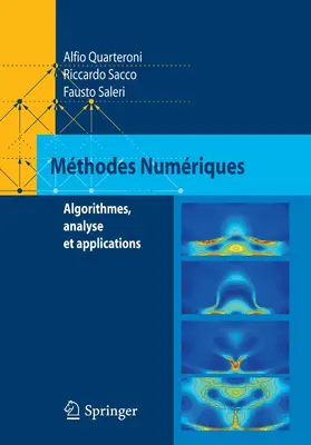 Quarteroni / Sacco / Saleri |  Méthodes Numériques | eBook | Sack Fachmedien