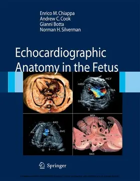 Chiappa / Cook / Botta | Echocardiographic Anatomy in the Fetus | E-Book | sack.de
