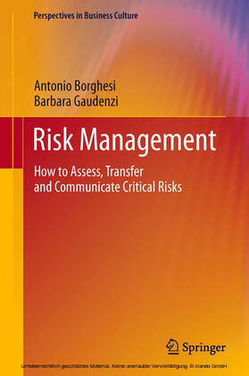 Borghesi / Gaudenzi | Risk Management | E-Book | sack.de