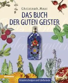 Mayr |  Das Buch der guten Geister | Buch |  Sack Fachmedien