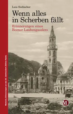 Seebacher |  Wenn alles in Scherben fällt | Buch |  Sack Fachmedien
