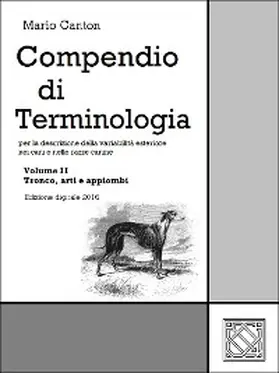 Canton |  Compendio di Terminologia - Vol. II | eBook | Sack Fachmedien