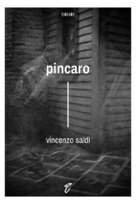 Saldì |  Pincaro | eBook | Sack Fachmedien