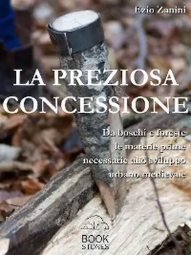 Zanini |  La preziosa concessione | eBook | Sack Fachmedien