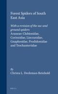 Deeleman-Reinhold |  Forest Spiders of South East Asia: With a Revision of the Sac and Ground Spiders (Araneae: Clubionidae, Corinnidae, Liocranidae, Gnaphosidae, Prodidom | Buch |  Sack Fachmedien