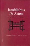 Finamore / Dillon |  Iamblichus' de Anima: Text, Translation, and Commentary | Buch |  Sack Fachmedien