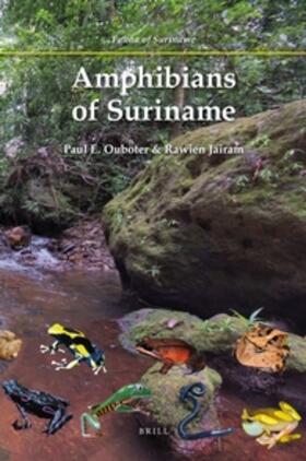 Ouboter / Jairam | Amphibians of Suriname | Buch | 978-90-04-20799-8 | sack.de