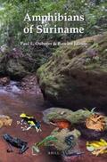 Ouboter / Jairam |  Amphibians of Suriname | Buch |  Sack Fachmedien