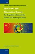  Secure Oil and Alternative Energy | Buch |  Sack Fachmedien