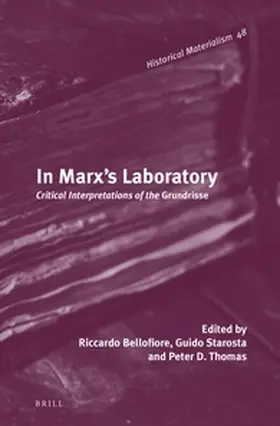  In Marx's Laboratory | Buch |  Sack Fachmedien