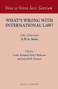 Ryngaert / Molenaar / Nouwen |  What's Wrong with International Law?: Liber Amicorum A.H.A. Soons | Buch |  Sack Fachmedien