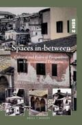 Luccarelli / Bergmann |  Spaces In-Between: Cultural and Political Perspectives on Environmental Discourse | Buch |  Sack Fachmedien