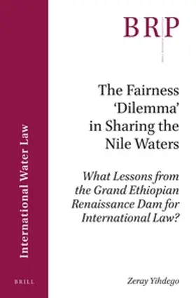 Yihdego |  The Fairness 'Dilemma' in Sharing the Nile Waters | Buch |  Sack Fachmedien