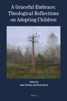 A Graceful Embrace: Theological Reflections on Adopting Children | Buch | 978-90-04-35289-6 | sack.de
