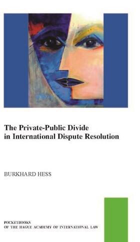 Hess |  The Private-Public Law Divide in International Dispute Resolution | Buch |  Sack Fachmedien