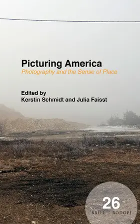 Schmidt |  Picturing America | Buch |  Sack Fachmedien