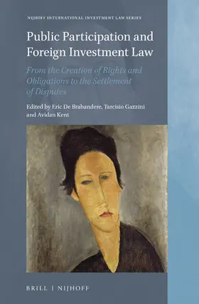 Brabandere / Gazzini / Kent |  Public Participation and Foreign Investment Law | Buch |  Sack Fachmedien