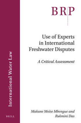 Mbengue / Das | Use of Experts in International Freshwater Disputes: A Critical Assessment | Buch | 978-90-04-42042-7 | sack.de