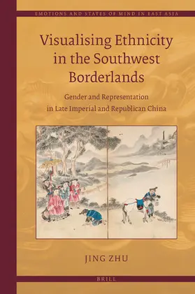 Zhu |  Visualising Ethnicity in the Southwest Borderlands | Buch |  Sack Fachmedien