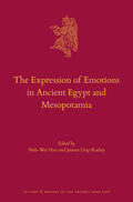 Hsu / Llop Raduà |  The Expression of Emotions in Ancient Egypt and Mesopotamia | Buch |  Sack Fachmedien