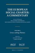 The Academic Network on the European Social Charter and Social Rights / Angeleri / Nivard |  The European Social Charter: A Commentary: Volume 1, Cross-Cutting Themes | Buch |  Sack Fachmedien