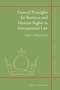 Chiussi Curzi |  General Principles for Business and Human Rights in International Law | Buch |  Sack Fachmedien