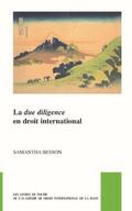 Besson |  La Due Diligence En Droit International | Buch |  Sack Fachmedien