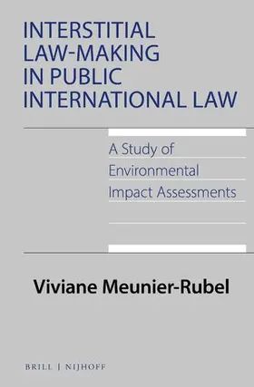 Meunier-Rubel |  Interstitial Law-Making in Public International Law | Buch |  Sack Fachmedien