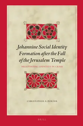 Porter |  Johannine Social Identity Formation After the Fall of the Jerusalem Temple | Buch |  Sack Fachmedien