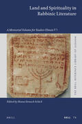 Strauch Schick |  Land and Spirituality in Rabbinic Literature: A Memorial Volume for Yaakov Elman &#1494;''&#1500; | Buch |  Sack Fachmedien