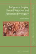 Mensi |  Indigenous Peoples, Natural Resources and Permanent Sovereignty | Buch |  Sack Fachmedien