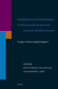  Pushing Sacred Boundaries in Early Judaism and the Ancient Mediterranean: Essays in Honor of Jodi Magness | Buch |  Sack Fachmedien