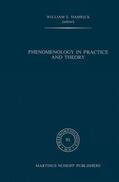 Hamrick |  Phenomenology in Practice and Theory | Buch |  Sack Fachmedien
