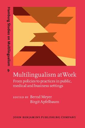 Meyer / Apfelbaum | Multilingualism at Work | Buch | 978-90-272-1929-9 | sack.de