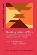 Meyer / Apfelbaum |  Multilingualism at Work | Buch |  Sack Fachmedien