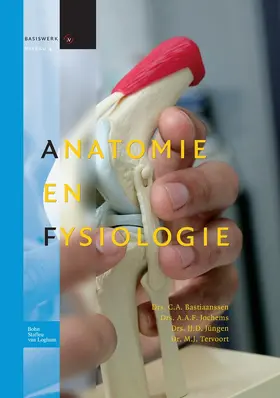 Jungen / De Jong Consulting B.V. / Kerstens |  Anatomie en fysiologie | Buch |  Sack Fachmedien