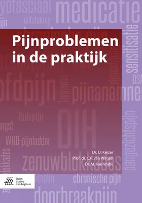 Keizer / van Wilgen / van Wijhe | Pijnproblemen in de Praktijk | Buch | 978-90-368-1254-2 | www.sack.de