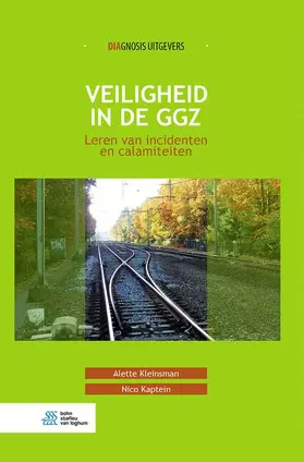 Kleinsman / Kaptein | Veiligheid in de Ggz | Buch | 978-90-368-2039-4 | www.sack.de