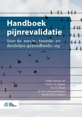 Verbunt / Swaan / Schiphorst Preuper | Handboek Pijnrevalidatie | Buch | 978-90-368-2229-9 | www.sack.de