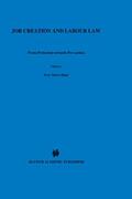 Biagi |  Job Creation and Labour Law: From Protection Towards Pro-Action | Buch |  Sack Fachmedien