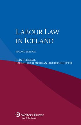 Blöndal / Blondal / Sigurdardóttir | Labour Law in Iceland | Buch | 978-90-411-5864-2 | sack.de