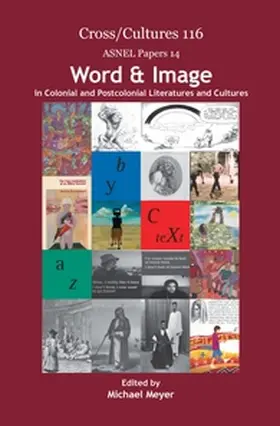 Word & Image in Colonial and Postcolonial Literatures and Cultures | Buch | 978-90-420-2743-5 | sack.de