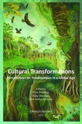Cultural Transformations | Buch | 978-90-420-3003-9 | sack.de