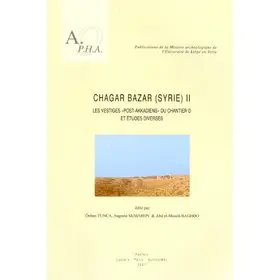 Baghdo / McMahon / Tunca |  Chagar Bazar (Syrie) II: Les Vestiges Post-Akkadiens Du Chantier D Et Etudes Diverses | Buch |  Sack Fachmedien