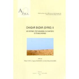 Baghdo / McMahon / Tunca | Chagar Bazar (Syrie) II: Les Vestiges Post-Akkadiens Du Chantier D Et Etudes Diverses | Buch | 978-90-429-1948-8 | sack.de