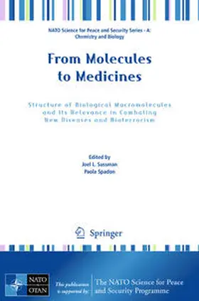 Sussman / Spadon |  From Molecules to Medicines | Buch |  Sack Fachmedien
