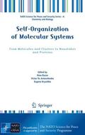 Russo / Kryachko / Antonchenko |  Self-Organization of Molecular Systems | Buch |  Sack Fachmedien