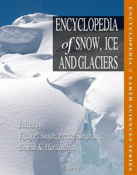 Singh / Haritashya | Encyclopedia of Snow, Ice and Glaciers | Buch | 978-90-481-2641-5 | sack.de